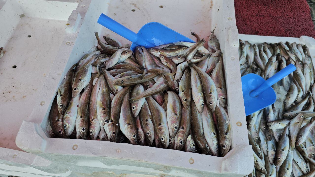 Avladıkları 10 Ton Balığın Gelirini İhtiyaç Sahiplerine Bağışlayacaklar - Sayfa 2