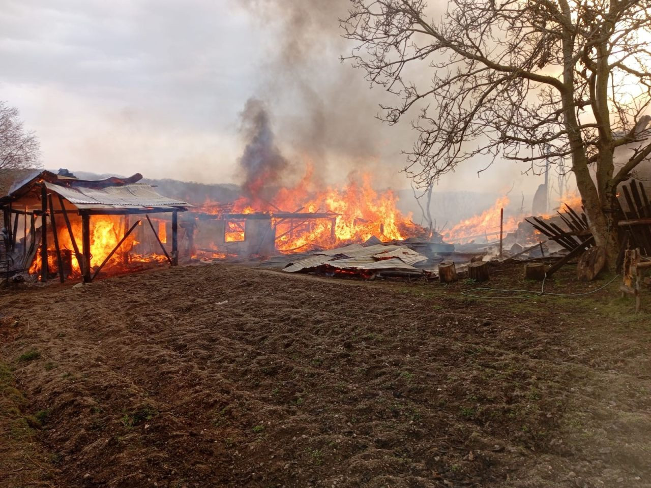 Kastamonu'da Korkutan Yangın! Evler ve Ahırlar Alevlere Teslim Oldu - Sayfa 3