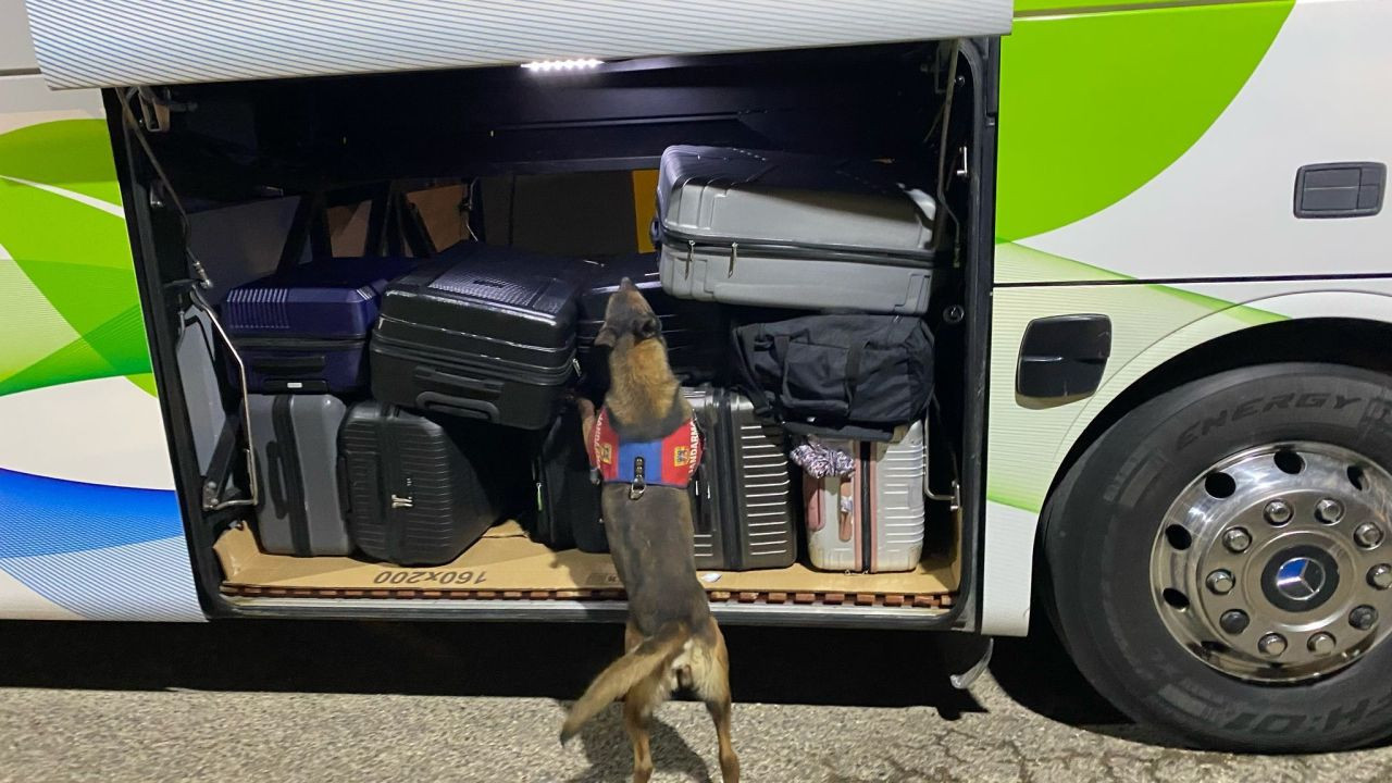 Tunceli’de Şampuan Şişesine Gizlenmiş Uyuşturucu Ele Geçirildi - Sayfa 3