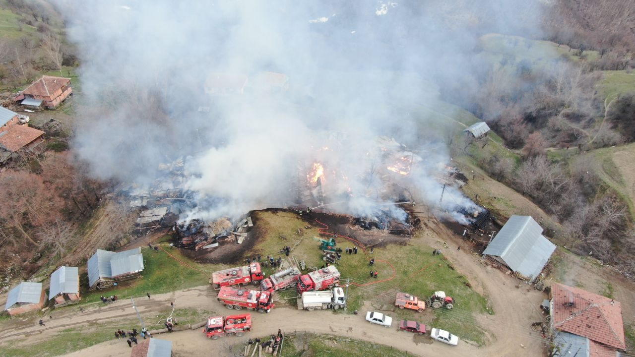 Kastamonu'da Yangın Felaketi: 3 Ev, 6 Ahır, 9 Samanlık Kül Oldu - Sayfa 1
