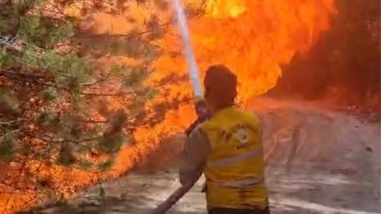 Aydın'da Kış Ortasında Orman Yangını! Ekipler Seferber Oldu