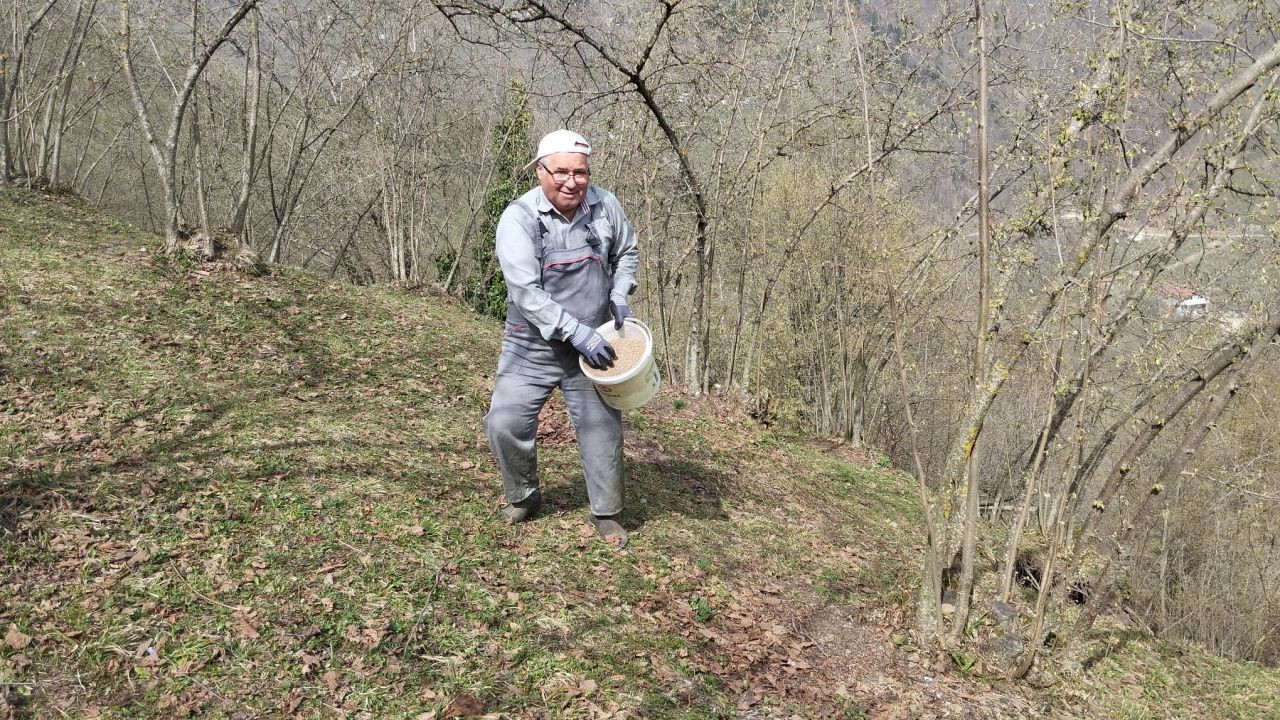 Hendek’te Fındık Üreticileri Yeni Sezon İçin Çalışmalara Başladı - Sayfa 1