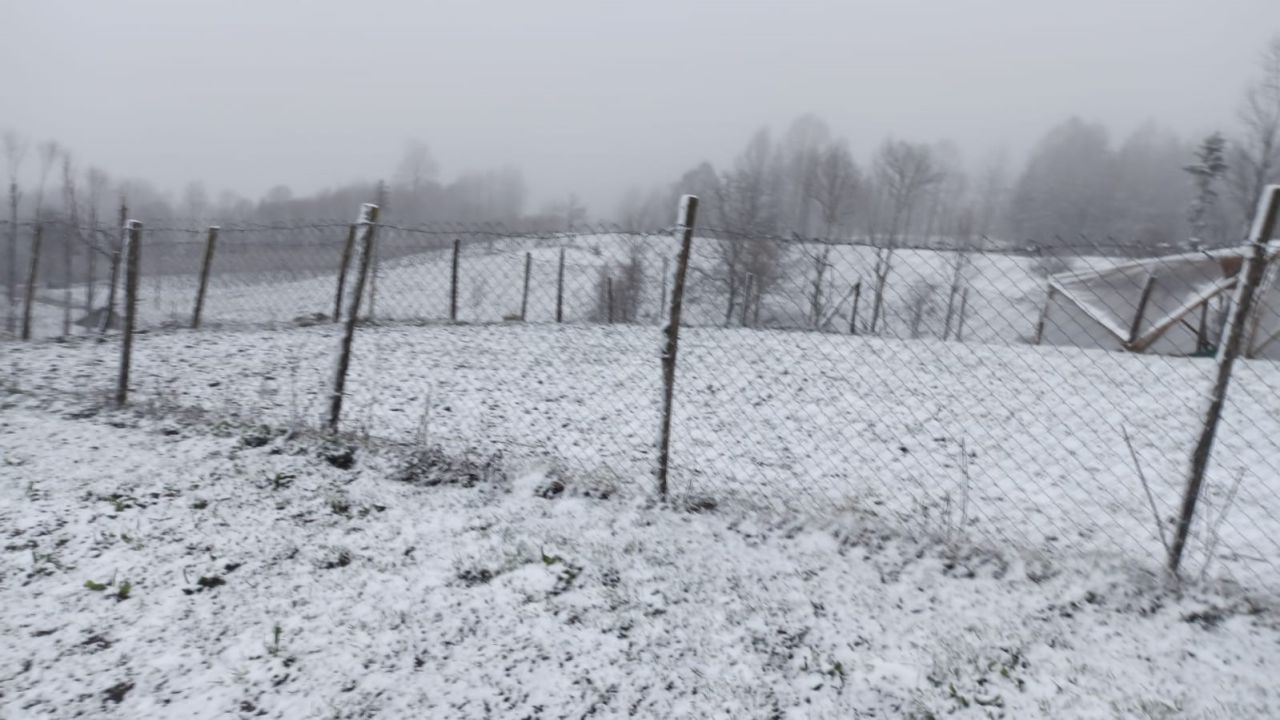 Sakarya’nın Yüksek Kesimlerinde Kar Yağışı Kartpostallık Görüntüler Oluşturdu - Sayfa 2