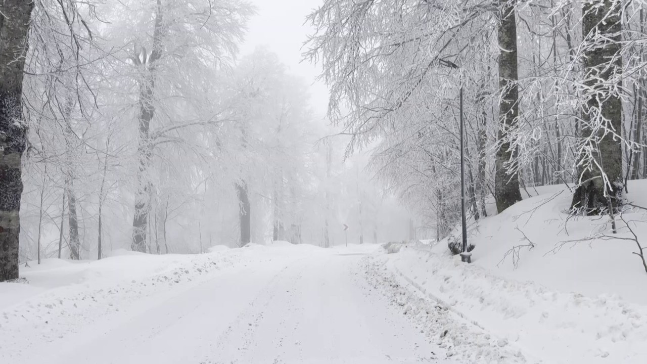 Kocaeli Kartepe'de Lapa Lapa Kar Yağışı: O Bölge Beyaza Büründü