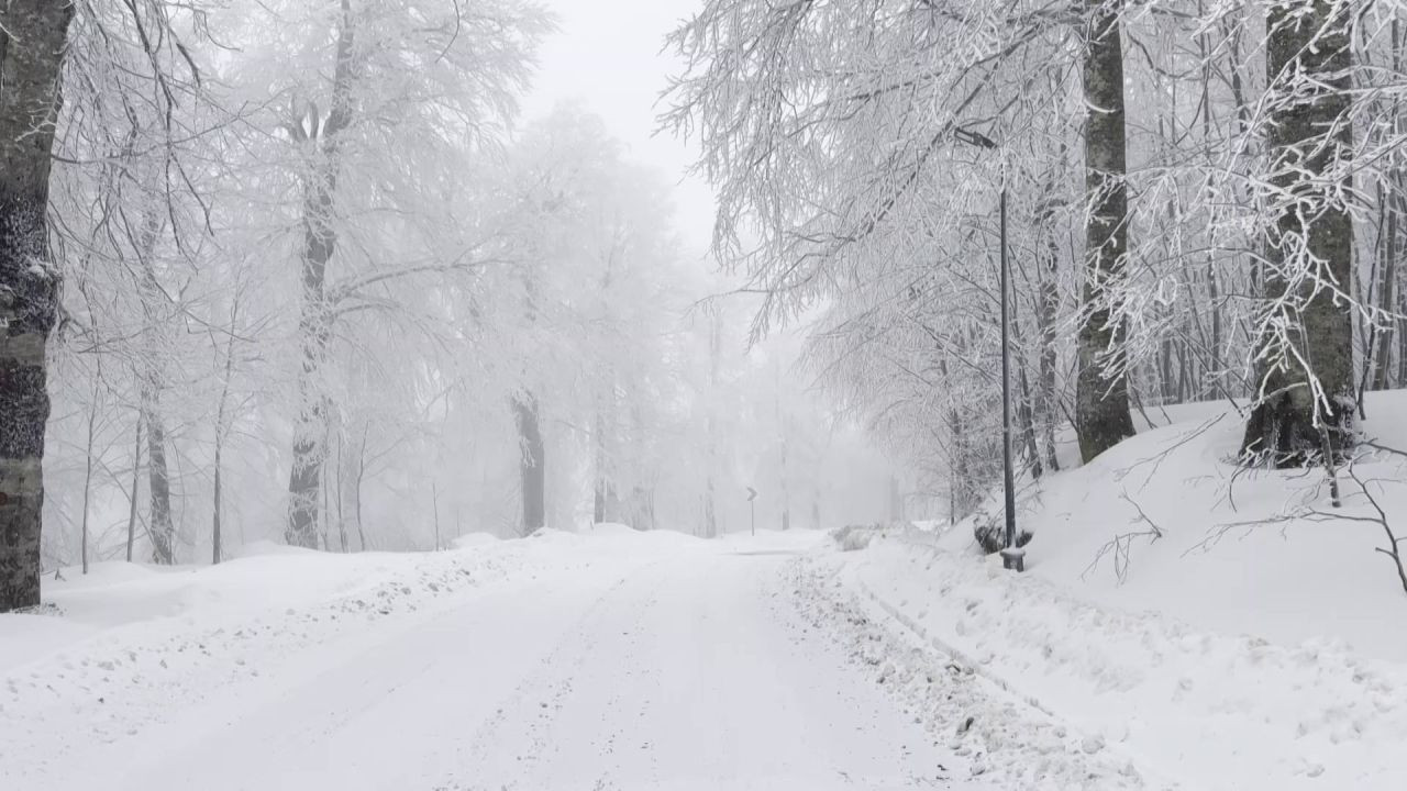 Kocaeli Kartepe'de Lapa Lapa Kar Yağışı: O Bölge Beyaza Büründü - Sayfa 1
