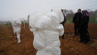 Mart Kapıdan Baktırdı: Üreticiler Don Tehlikesine Karşı Önlem Aldı - Sayfa 4