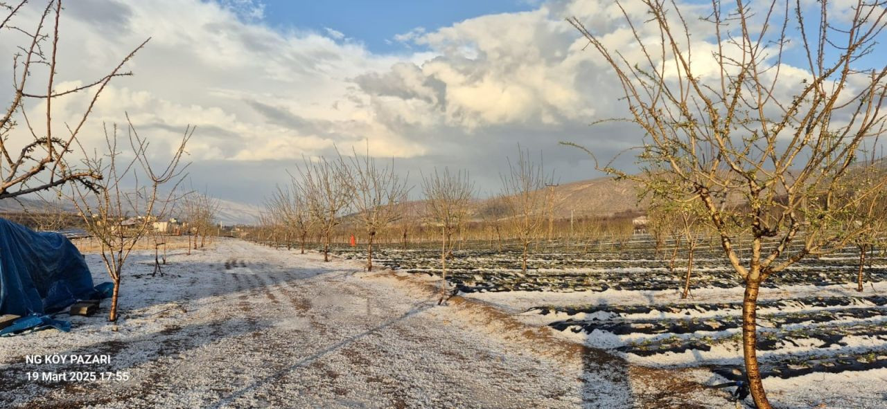 Pütürge’de Dolu Yağışı Kayısı Bahçelerine Büyük Zarar Verdi - Sayfa 1