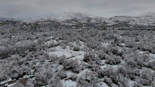 Malatya'da Kayısı Bahçeleri Don Tehlikesiyle Karşı Karşıya - Sayfa 10