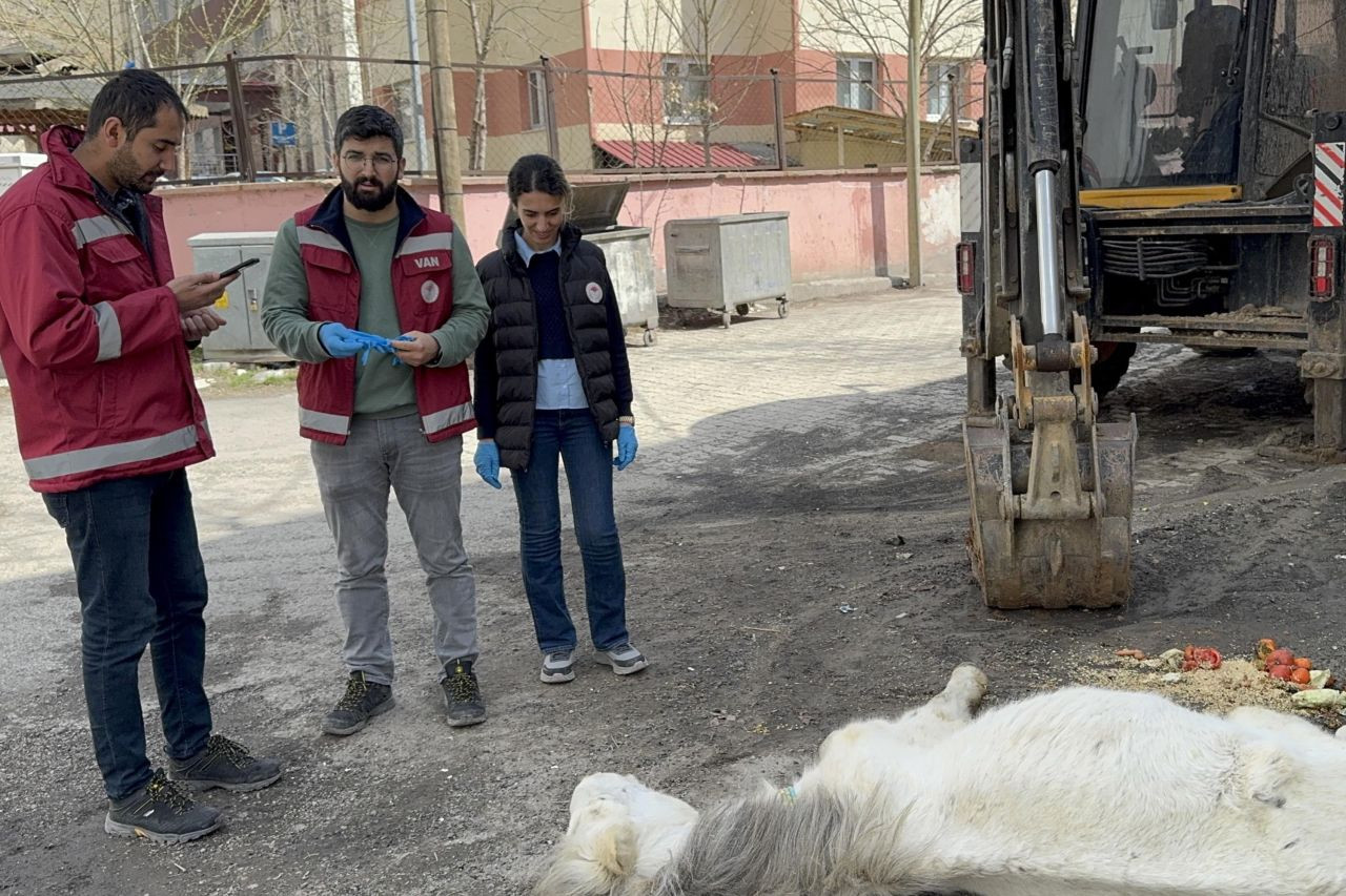 Van’da Açlık Ve Yorgunluktan Yığılan Katır, Vatandaşların Duyarlılığıyla Kurtarıldı - Sayfa 3