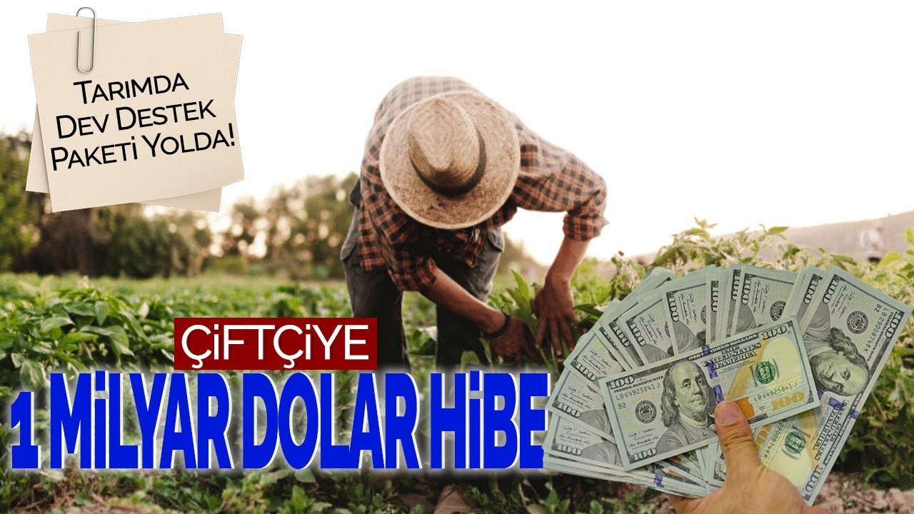 Çiftçilere 1 Milyar Dolar Hibe! Tarımda Dev Destek Paketi Yolda!