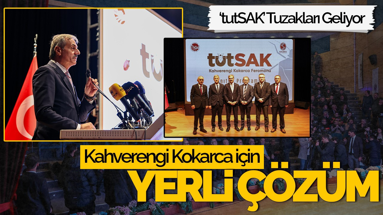 Kahverengi Kokarca İçin Yerli Çözüm: ‘tutSAK’ Tuzakları Geliyor