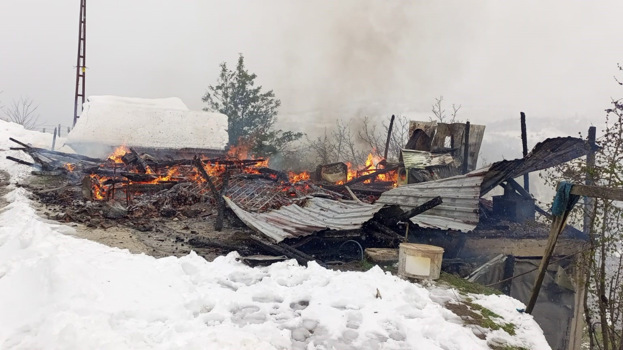 Ordu'da Ahşap Ev Alevlere Teslim Oldu, Aile Son Anda Kurtuldu