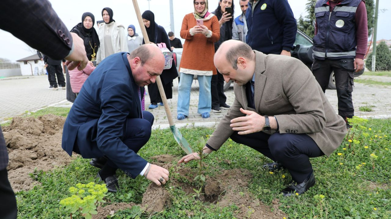 Ferizli'de Orman Haftası Coşkusu: Kaymakam ve Başkan Fidanları Toprakla Buluşturdu! - Sayfa 8