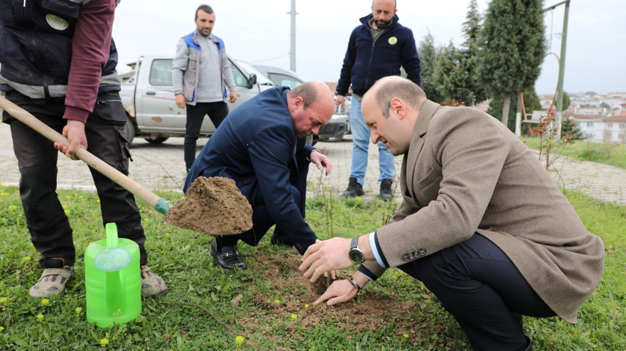 Ferizli'de Orman Haftası Coşkusu: Kaymakam ve Başkan Fidanları Toprakla Buluşturdu! - Sayfa 7