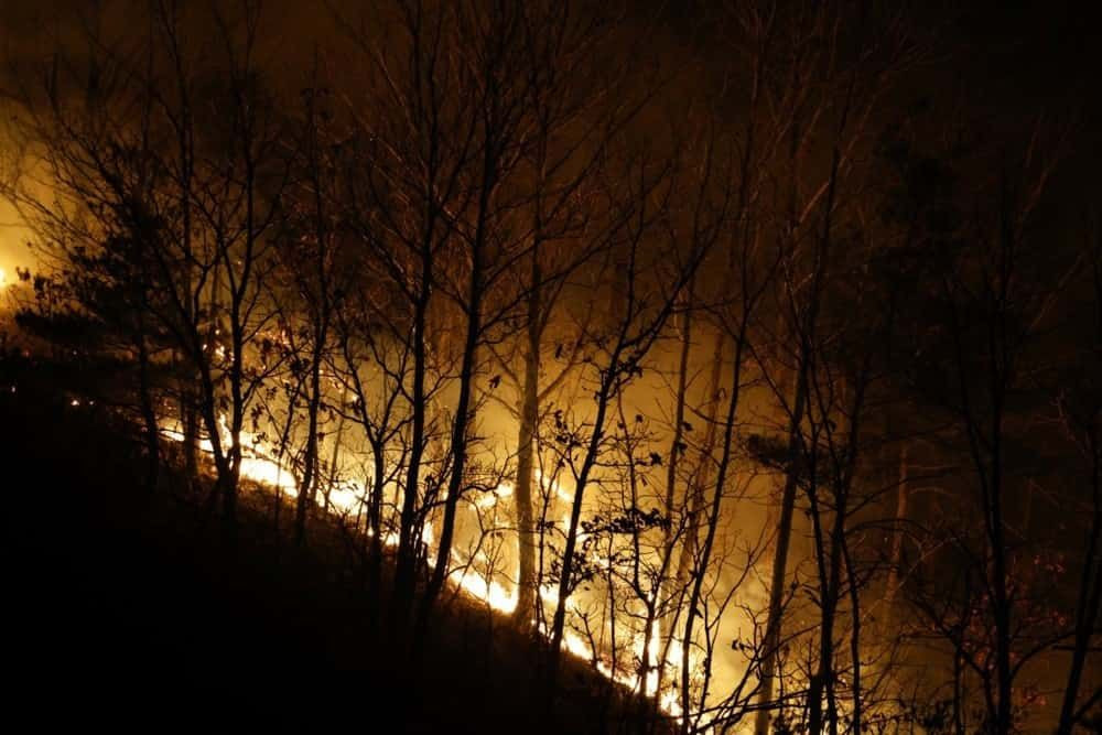 Güney Kore’de Tarihi Yangın Felaketi: Can Kaybı 28’e Yükseldi - Sayfa 1