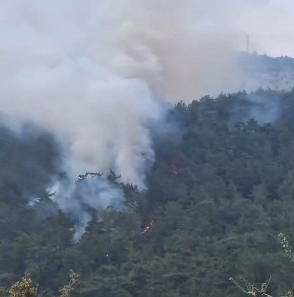 Milas’ta Orman Yangını Alarmı: Alevlerle Mücadele Sürüyor - Sayfa 3