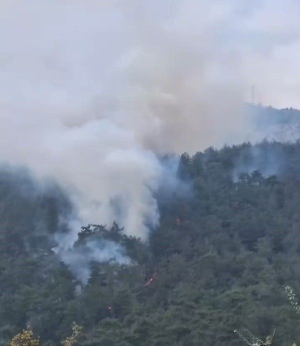 Milas’ta Orman Yangını Alarmı: Alevlerle Mücadele Sürüyor - Sayfa 2