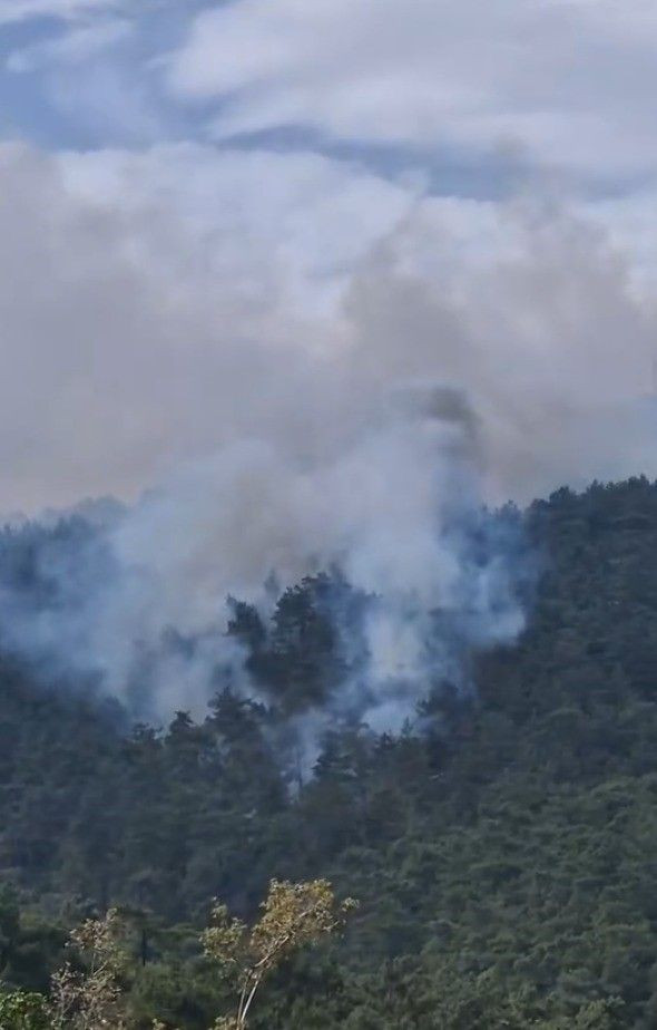 Milas’ta Orman Yangını Alarmı: Alevlerle Mücadele Sürüyor - Sayfa 1