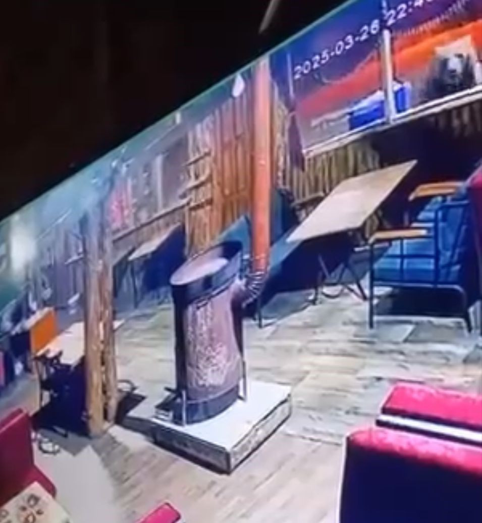 Uludağ’da Ayı Paniği: İşletmeye Girdi, Masaları Devirip Kaçtı - Sayfa 2