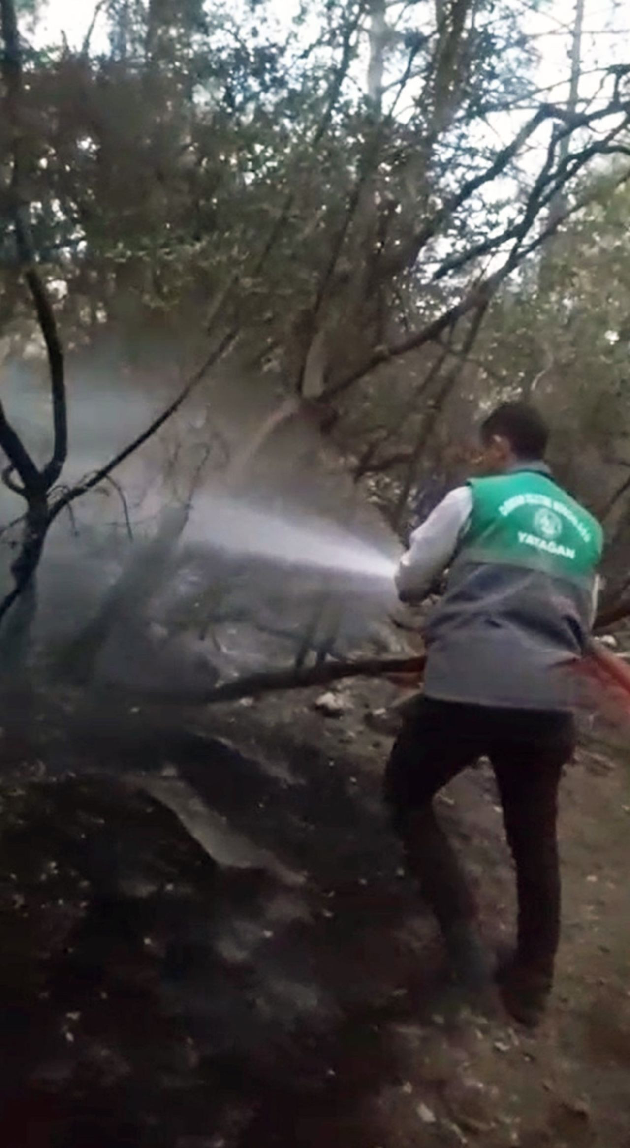 Milas’taki Orman Yangını Kontrol Altına Alındı, 2 Hektar Zarar Gördü - Sayfa 1