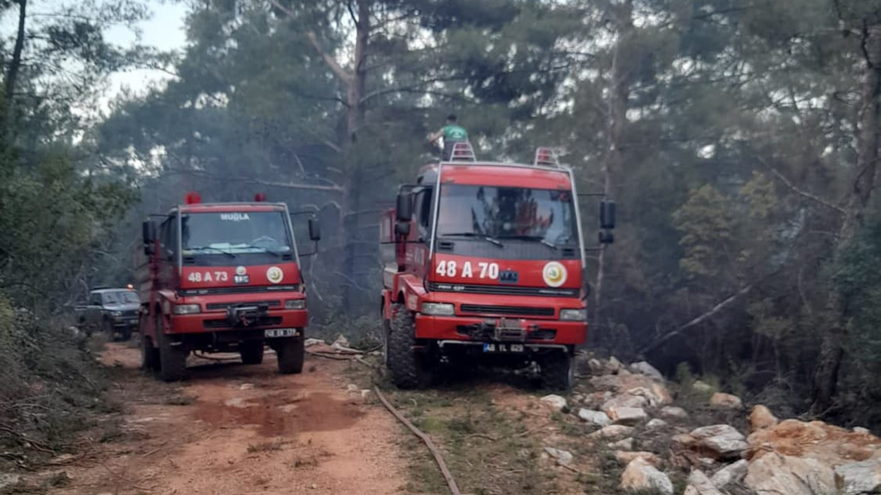 Milas’taki Orman Yangını Kontrol Altına Alındı, 2 Hektar Zarar Gördü