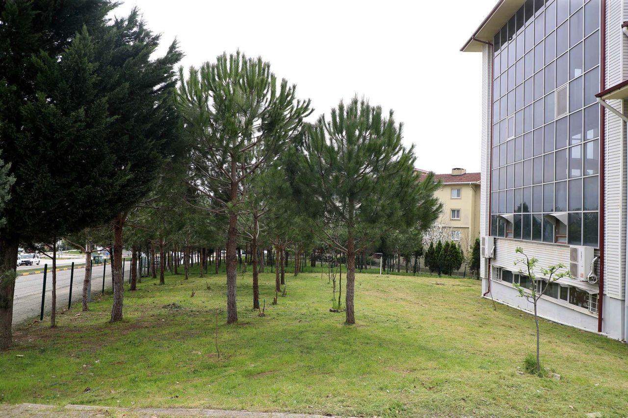 Sakarya’da Camiler Bayrama Hazır: Büyükşehir’den Çiçek Gibi Dokunuş - Sayfa 3