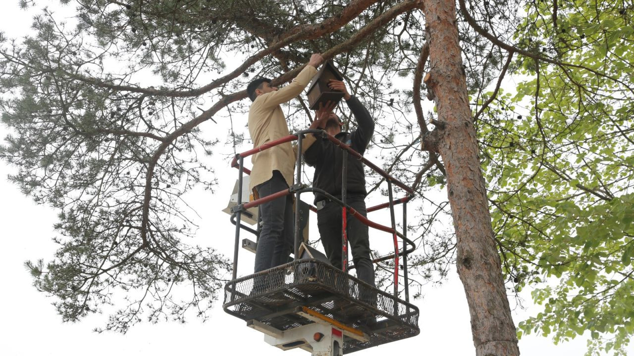 Öğrencilerden Sokak Hayvanlarına Sıcacık Yuvalar - Sayfa 1