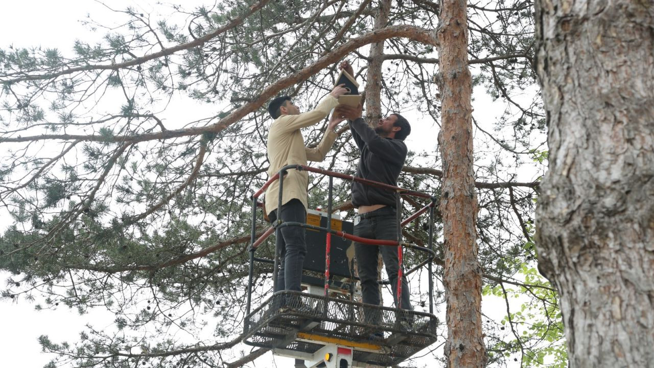 Öğrencilerden Sokak Hayvanlarına Sıcacık Yuvalar - Sayfa 3