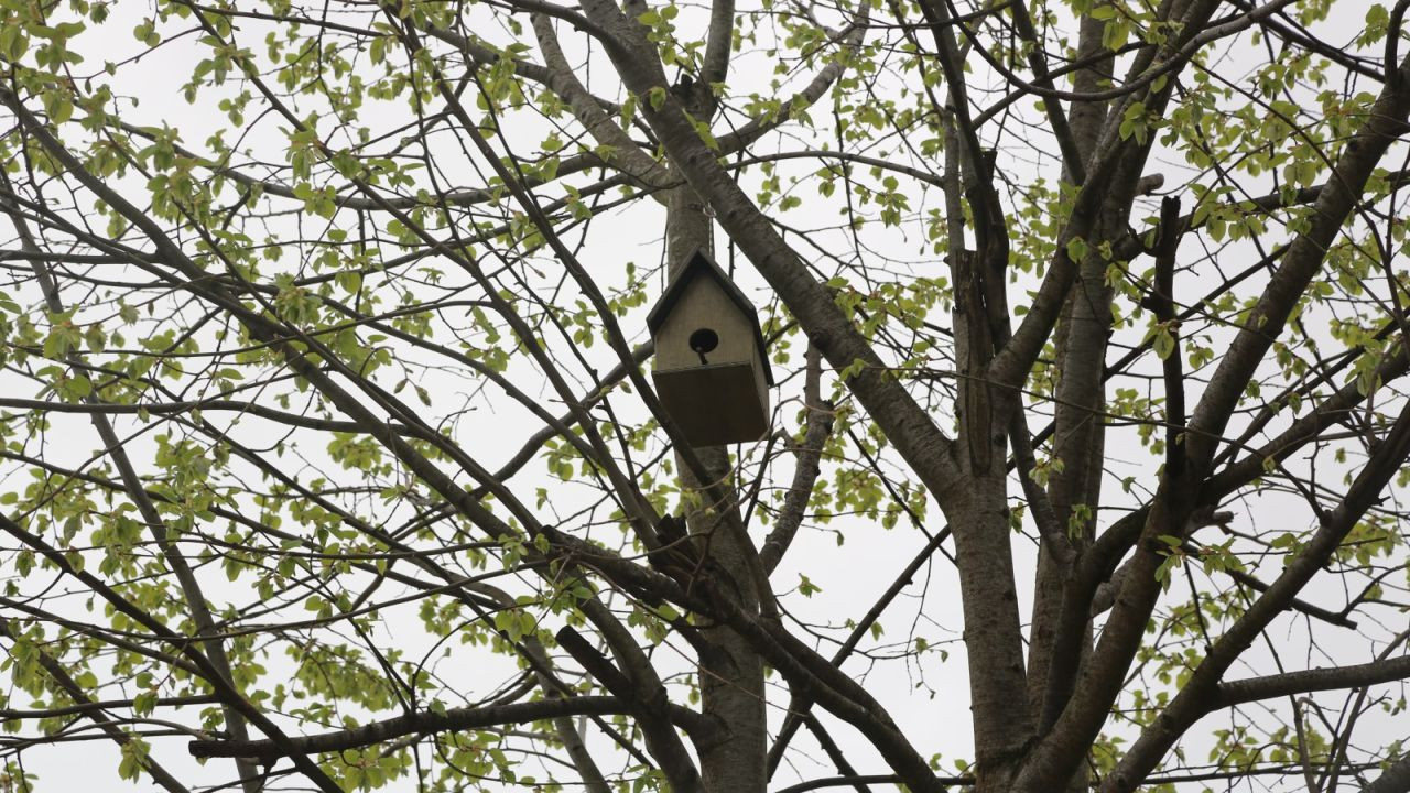 Öğrencilerden Sokak Hayvanlarına Sıcacık Yuvalar - Sayfa 5