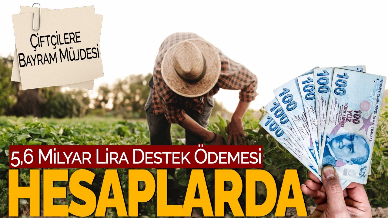 Çiftçilere Bayram Müjdesi: 5,6 Milyar Lira Destek Ödemesi Hesaplarda!