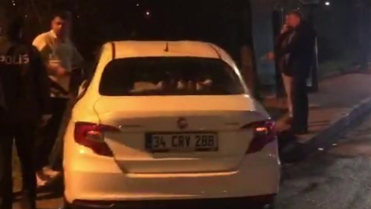 İki Otomobil Çarpıştı: Araçlardan Biri Ağaçlık Alana Girdi