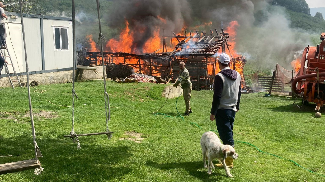 Düzce'de Samanlık Yangını: Büyük Maddi Hasar!