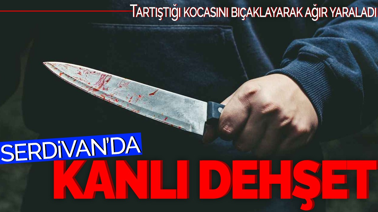 Serdivan'da Kanlı Dehşet! Tartıştığı kocasını bıçaklayarak ağır yaraladı