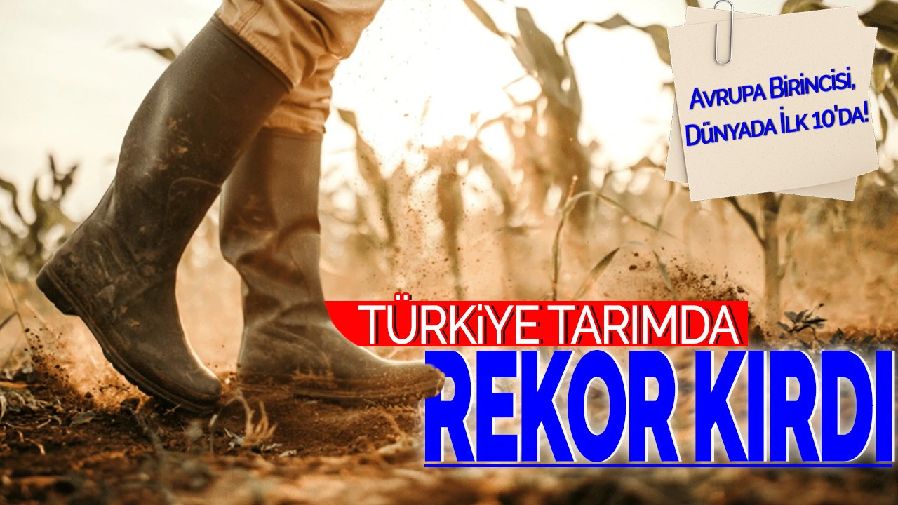 Türkiye Tarımda Rekor Kırdı: Avrupa Birincisi, Dünyada İlk 10'da!