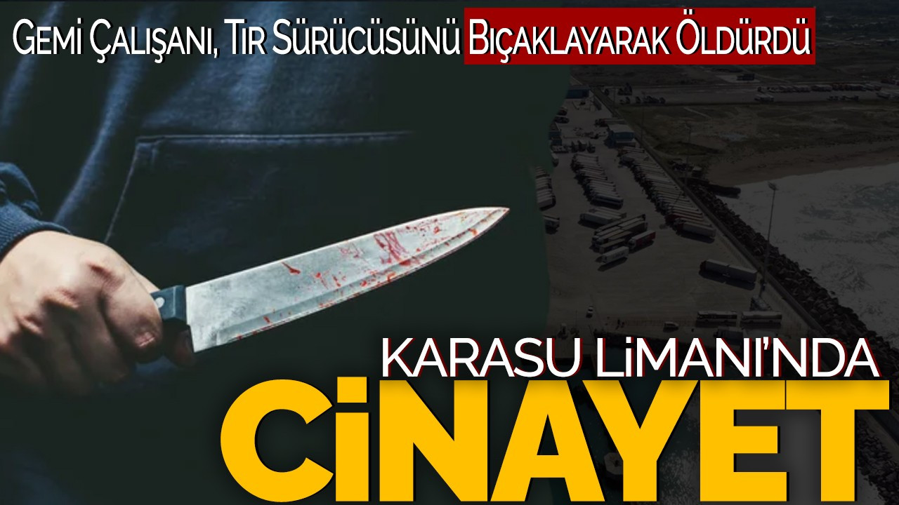 Karasu Limanı'nda Cinayet! Gemi Çalışanı, Tır Sürücüsünü Bıçaklayarak Öldürdü