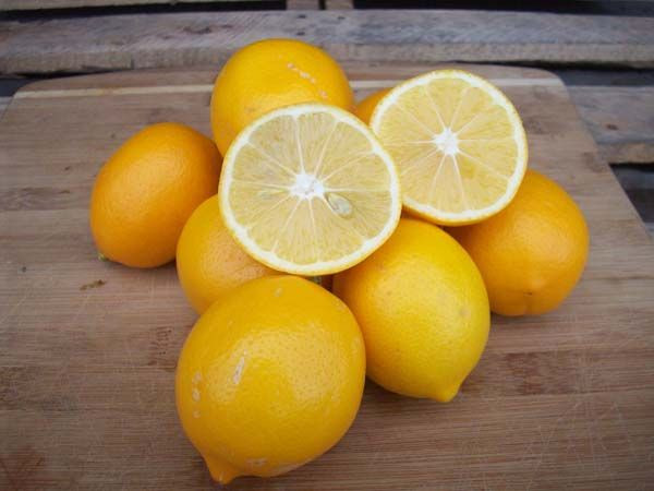Limon İhracatı Yükseldi! Irak, Türk Limonunun Yeni Birincisi Oldu! - Sayfa 2
