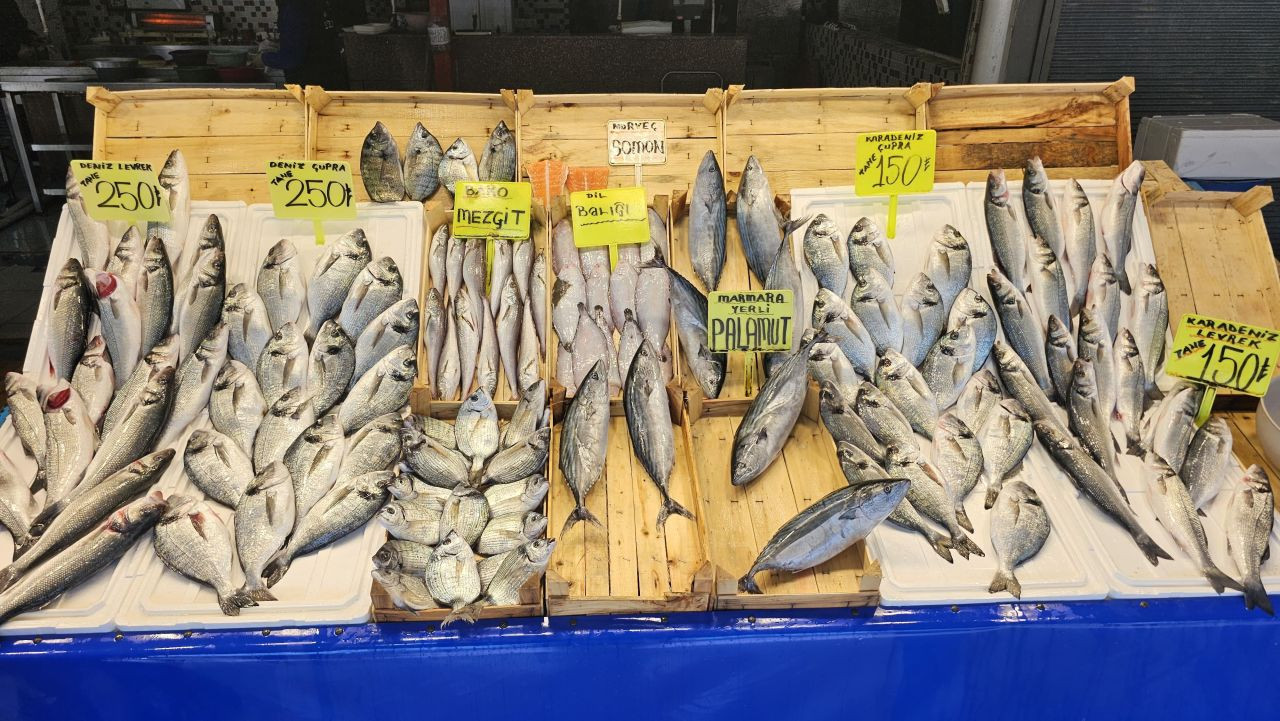 Av Yasağı Başlıyor Ama Balık Tezgâhları Boş Kalmayacak - Sayfa 3