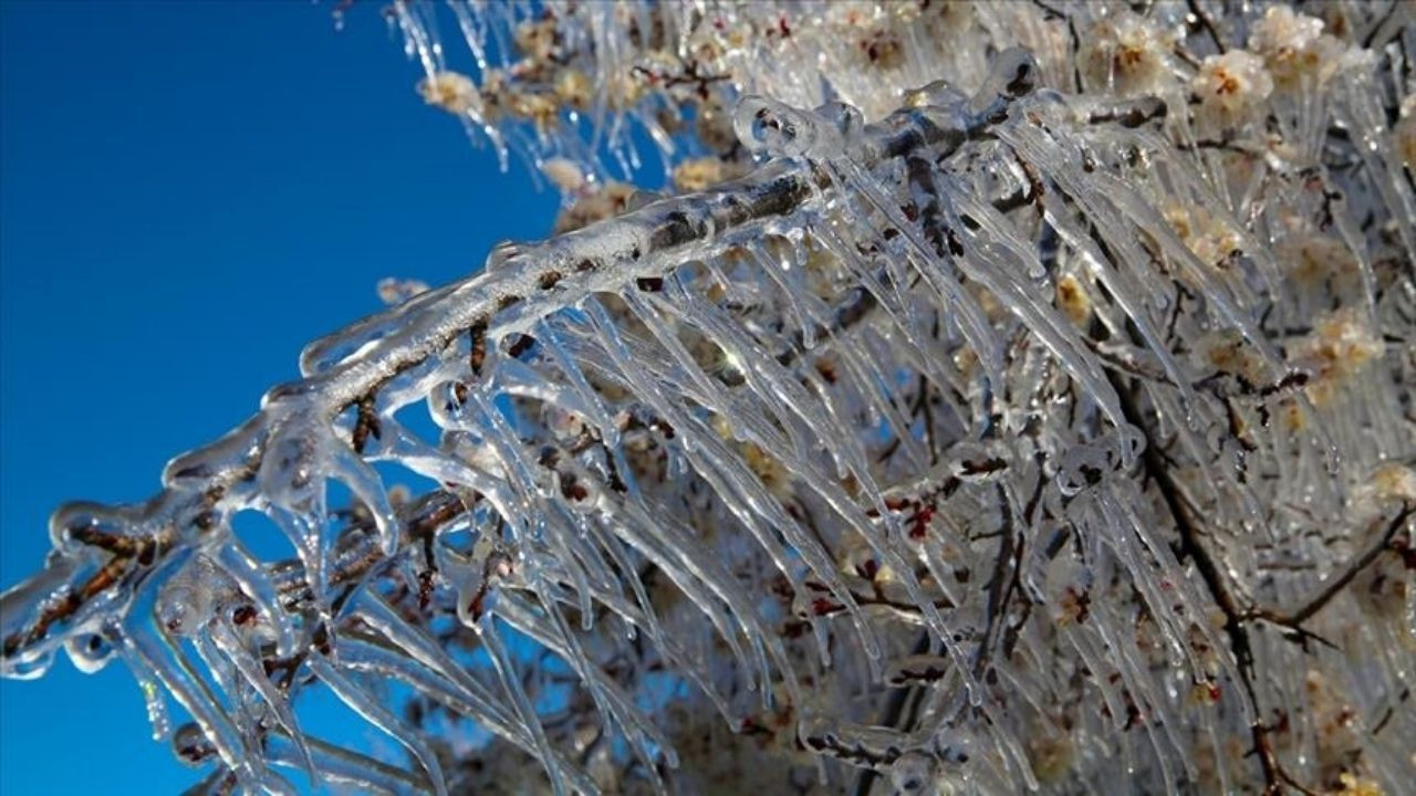Meteorolojiden Zirai Don Uyarsı: Soğuk Hava Tarımı Tehdit Ediyor - Sayfa 4