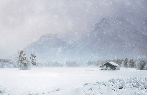 5 Kente Sarı Kodlu Uyarı! Meteoroloji’den Kuvvetli Kar Yağışı Alarmı - Sayfa 2