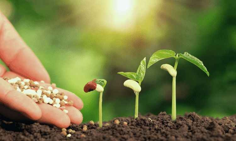 Tarım Sektörüne 50 Milyon Euro Destek! TKDK'dan Yeni Başvuru Çağrısı - Sayfa 5