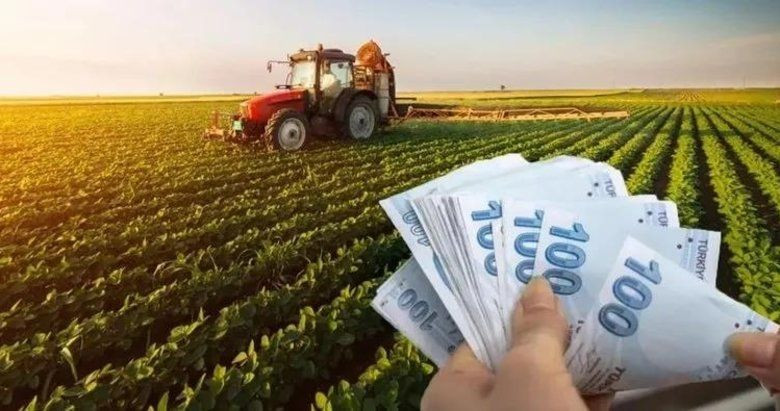 Tarım Sektörüne 50 Milyon Euro Destek! TKDK'dan Yeni Başvuru Çağrısı - Sayfa 2