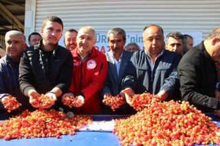 İlk Kirazın Kilosu 3 Bin 500 TL'den Satıldı - Sayfa 1
