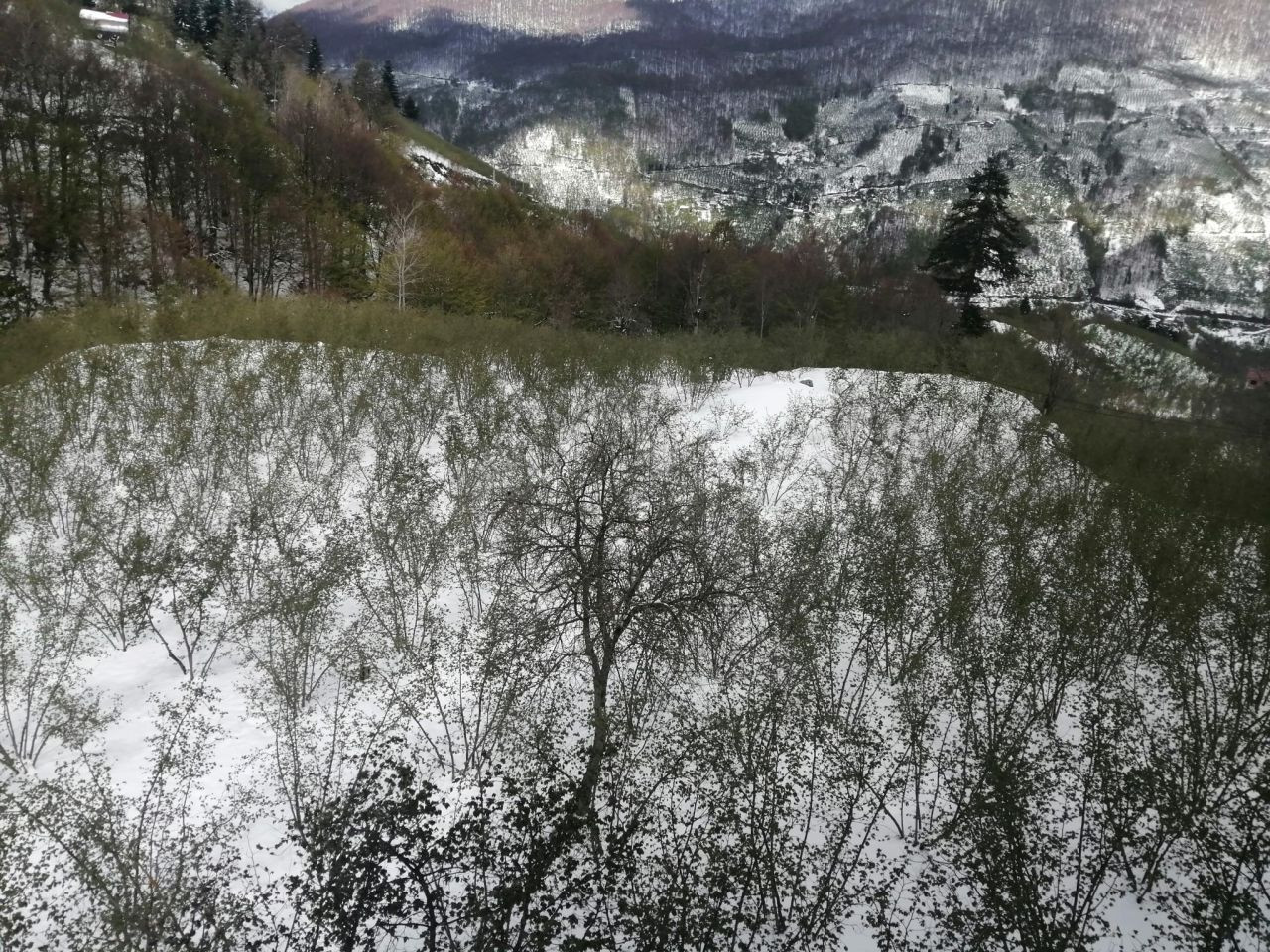 Sakarya’da Bahar Karı: Doğadan Kartpostal Gibi Manzara - Sayfa 5