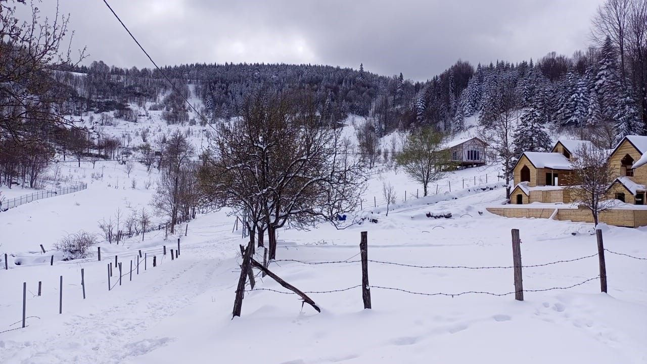 Sakarya’da Bahar Karı: Doğadan Kartpostal Gibi Manzara - Sayfa 3