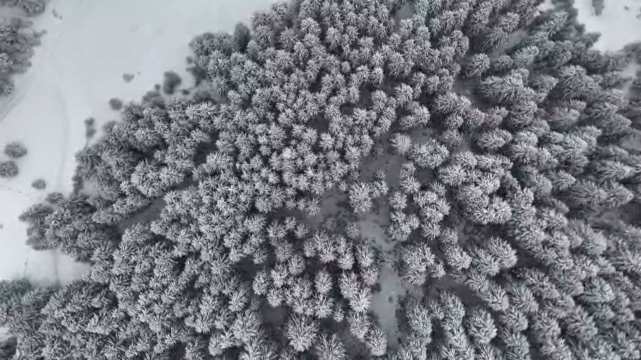 Giresun Yaylaları Nisan Ayında Beyaza Büründü
