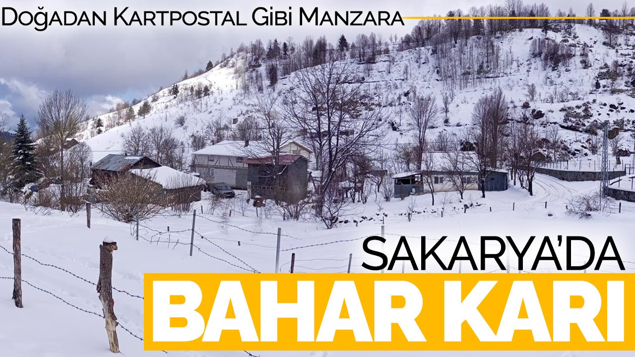 Sakarya’da Bahar Karı: Doğadan Kartpostal Gibi Manzara