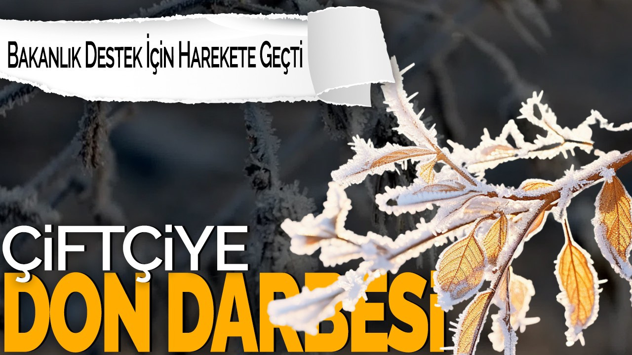 Çiftçiye Don Darbesi! Bakanlık Destek İçin Harekete Geçti