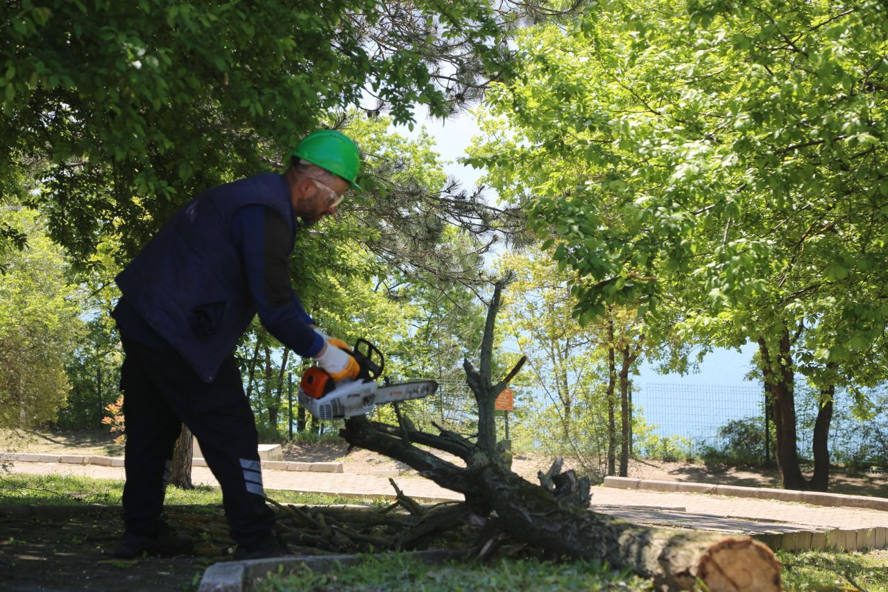 Serdivan Belediyesi’nden Park Bahçeler Ekibine Güvenli Çalışma Eğitimi - Sayfa 4