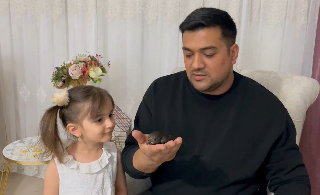 Yaralı Sandığı Ebabil Kuşunu Evinde Besledi, Sonra Doğaya Saldı - Sayfa 1