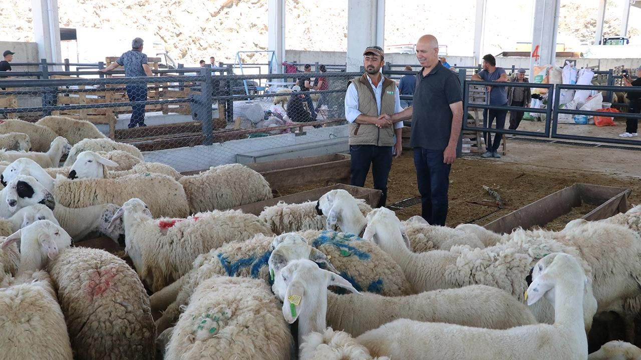 Kurbanlık Fiyatlarında 2025 Tablosu Netleşiyor: Küçükbaş ve Büyükbaş İçin Tahmini Rakamlar Belli Oldu - Sayfa 3